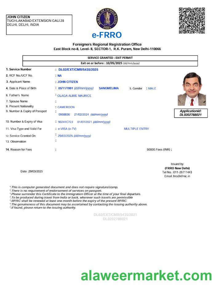 India e-visa template in Word and PDF formats, version 3